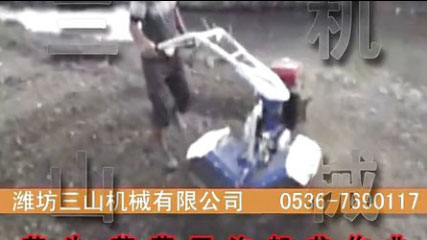 芋頭、草莓開溝起壟作業(yè) 